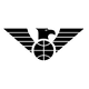 纽卡斯尔老鹰女篮logo