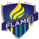 南海岸火焰logo